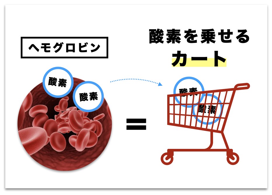 ヘモグロビンの働きを図で示している