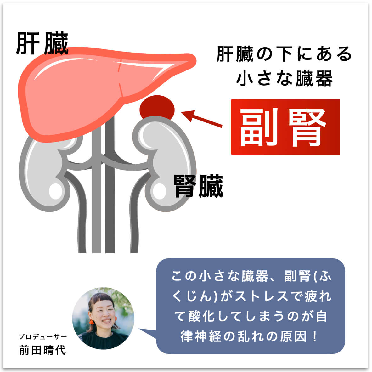 更年期と副腎の関係を説明した図