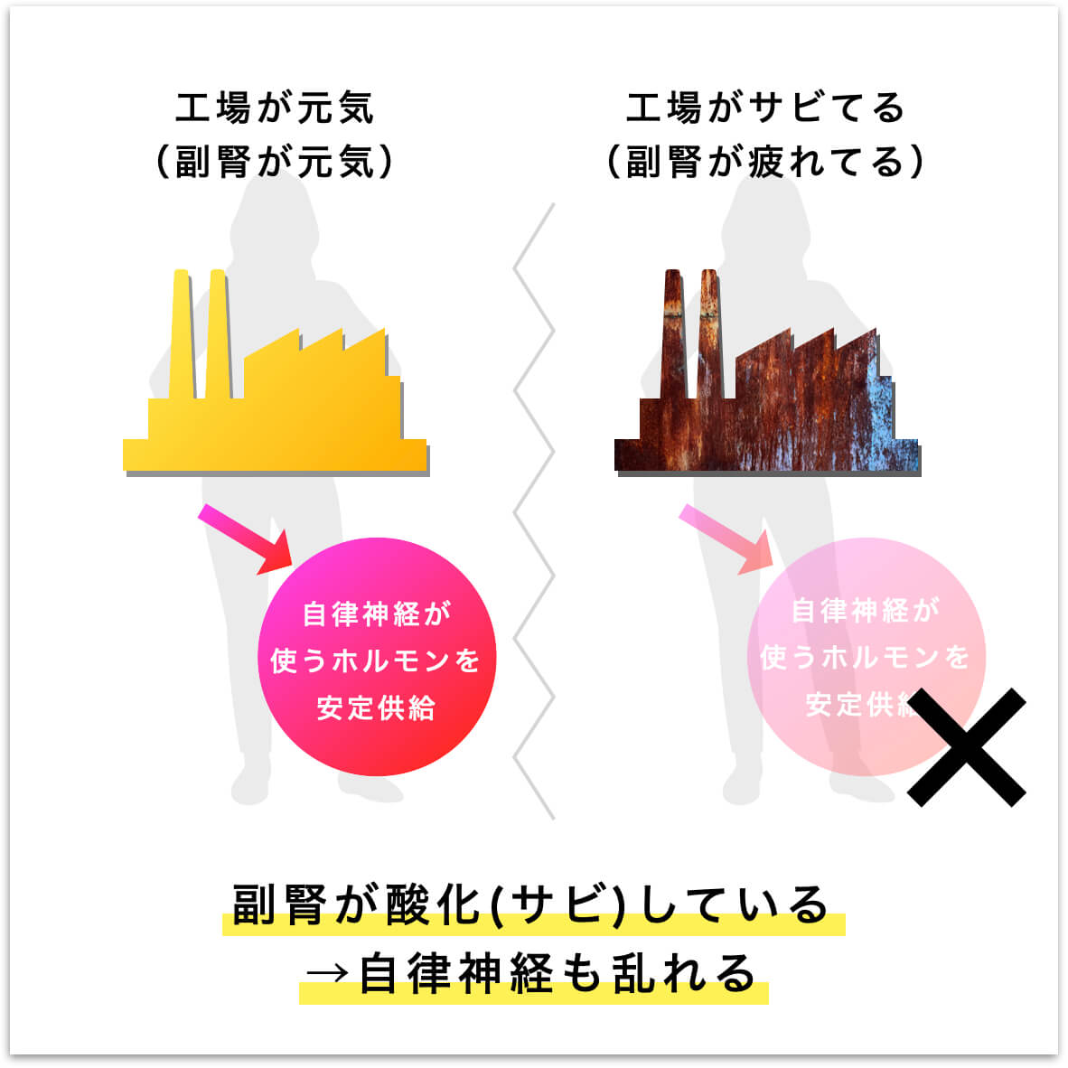 副腎が錆びるとは、の説明