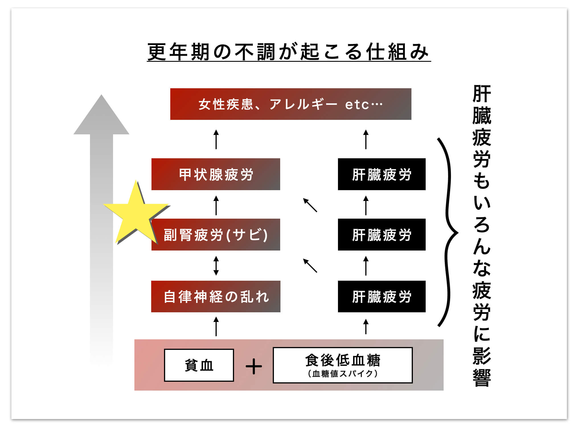 更年期の不調の仕組みの図