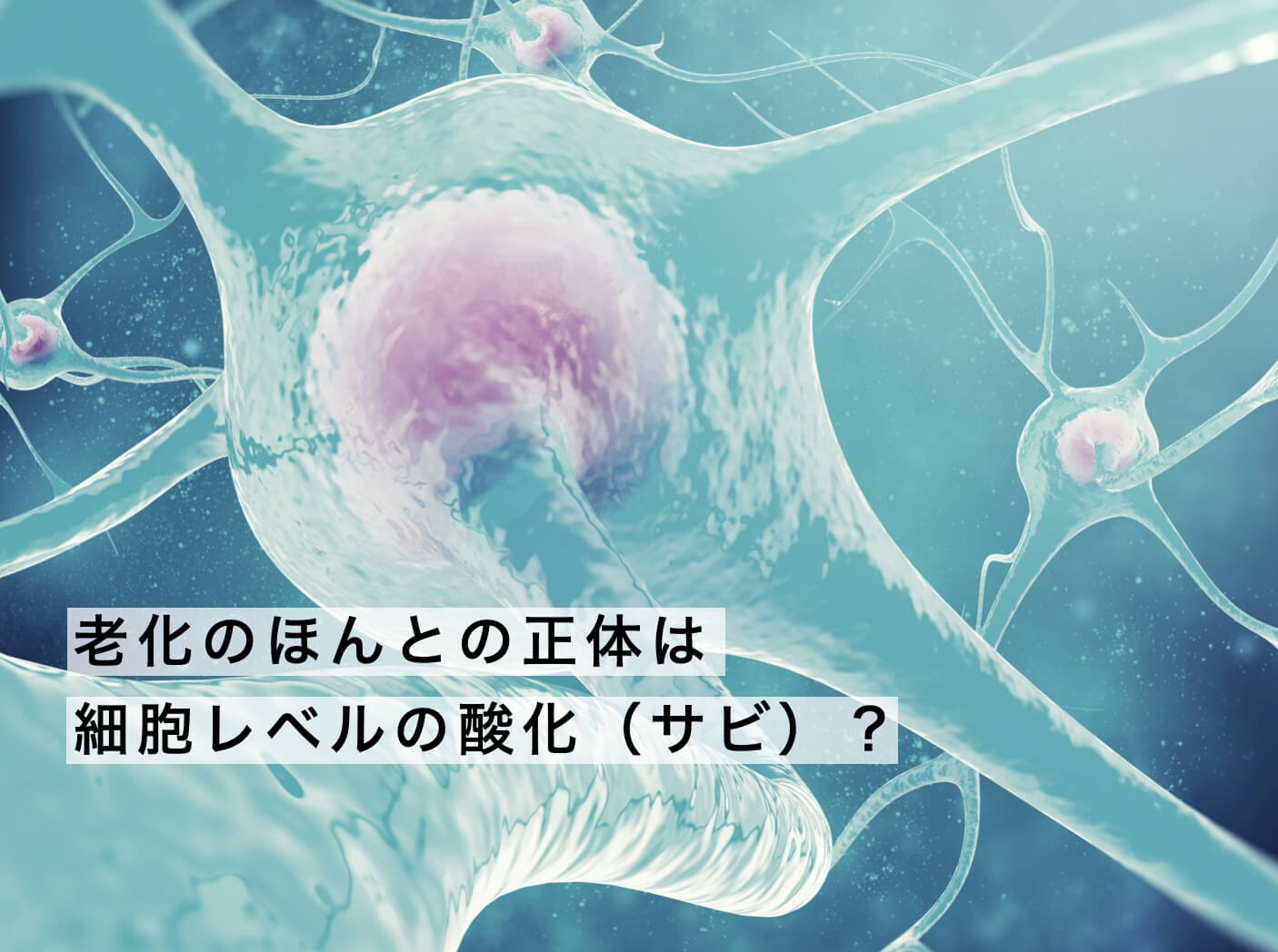 元気な細胞のイメージ