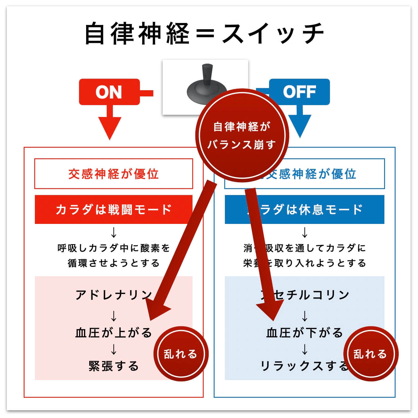 自律神経が乱れるとどうなるかの説明