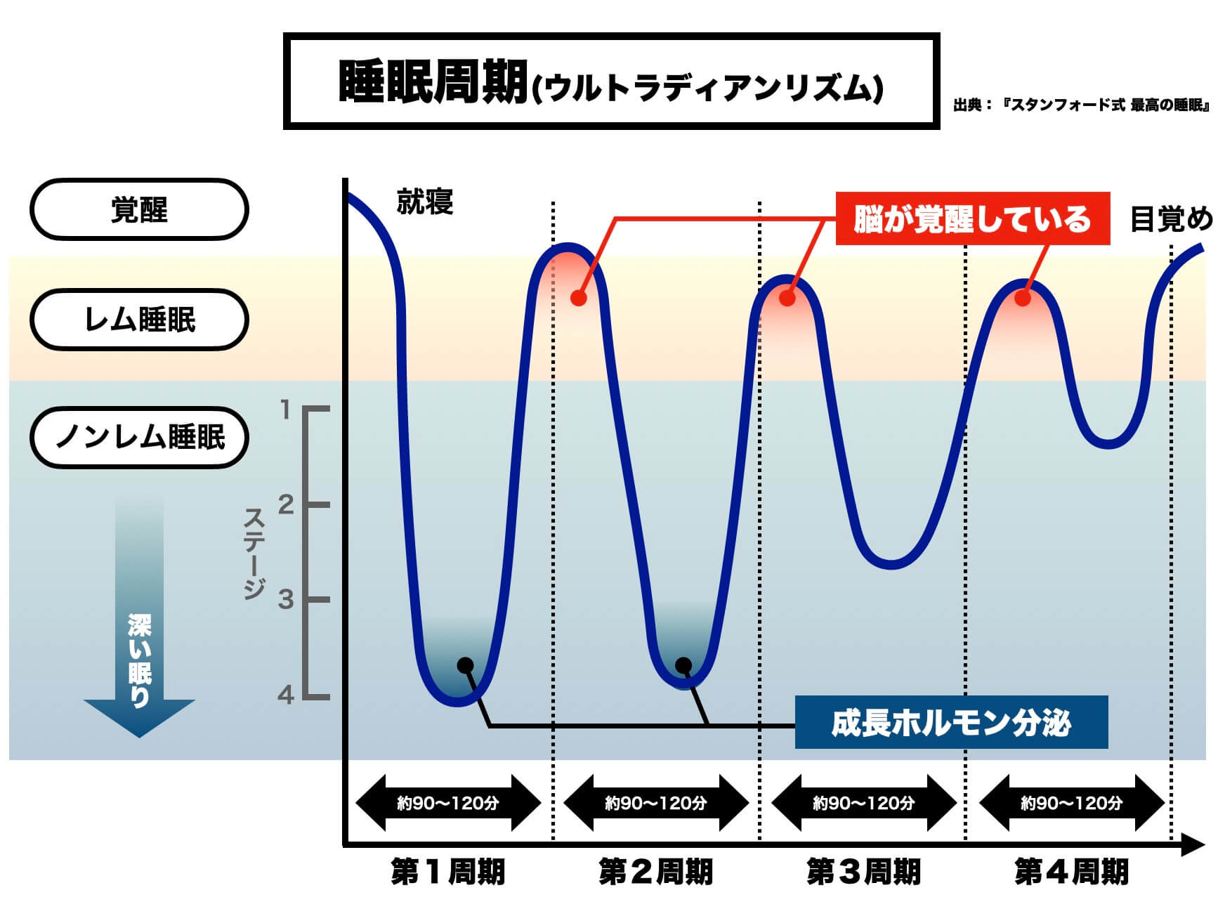自律神経と深い睡眠の関係性について説明している図
