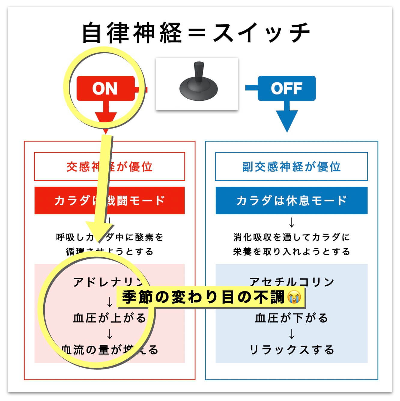 自律神経と季節の変わり目の関係