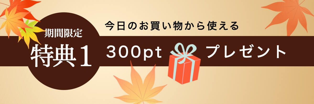 特典1