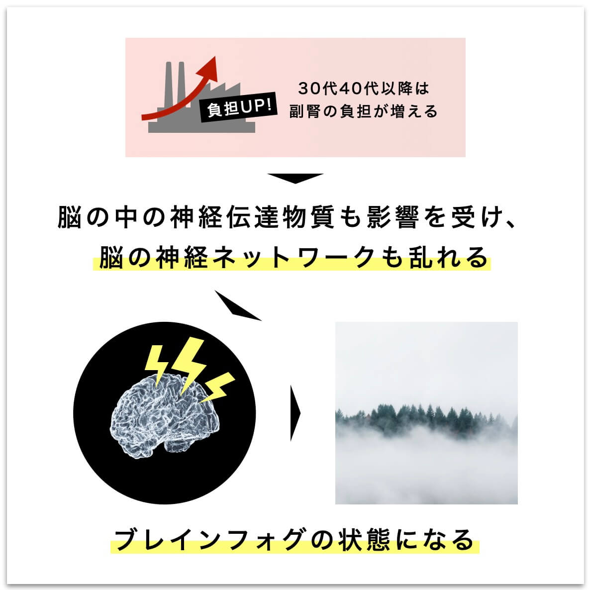 副腎疲労とブレインフォグの関係