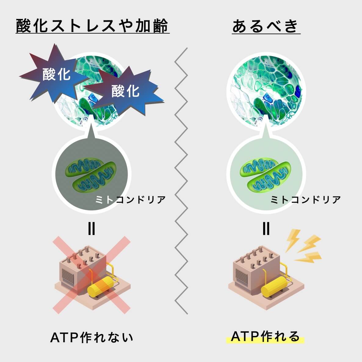ATPとはなにか?を説明した図