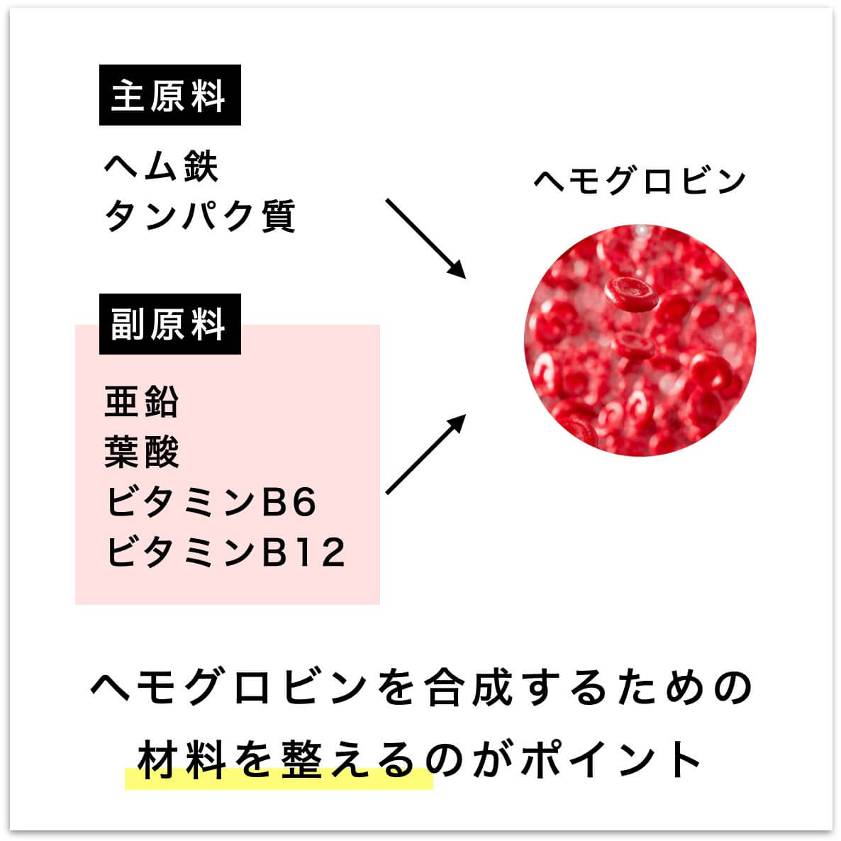 ヘモグロビンの材料の説明
