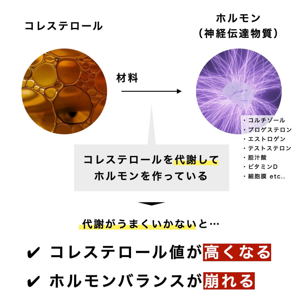 “代謝がうまくいかないと”コレステロール値が高くなる