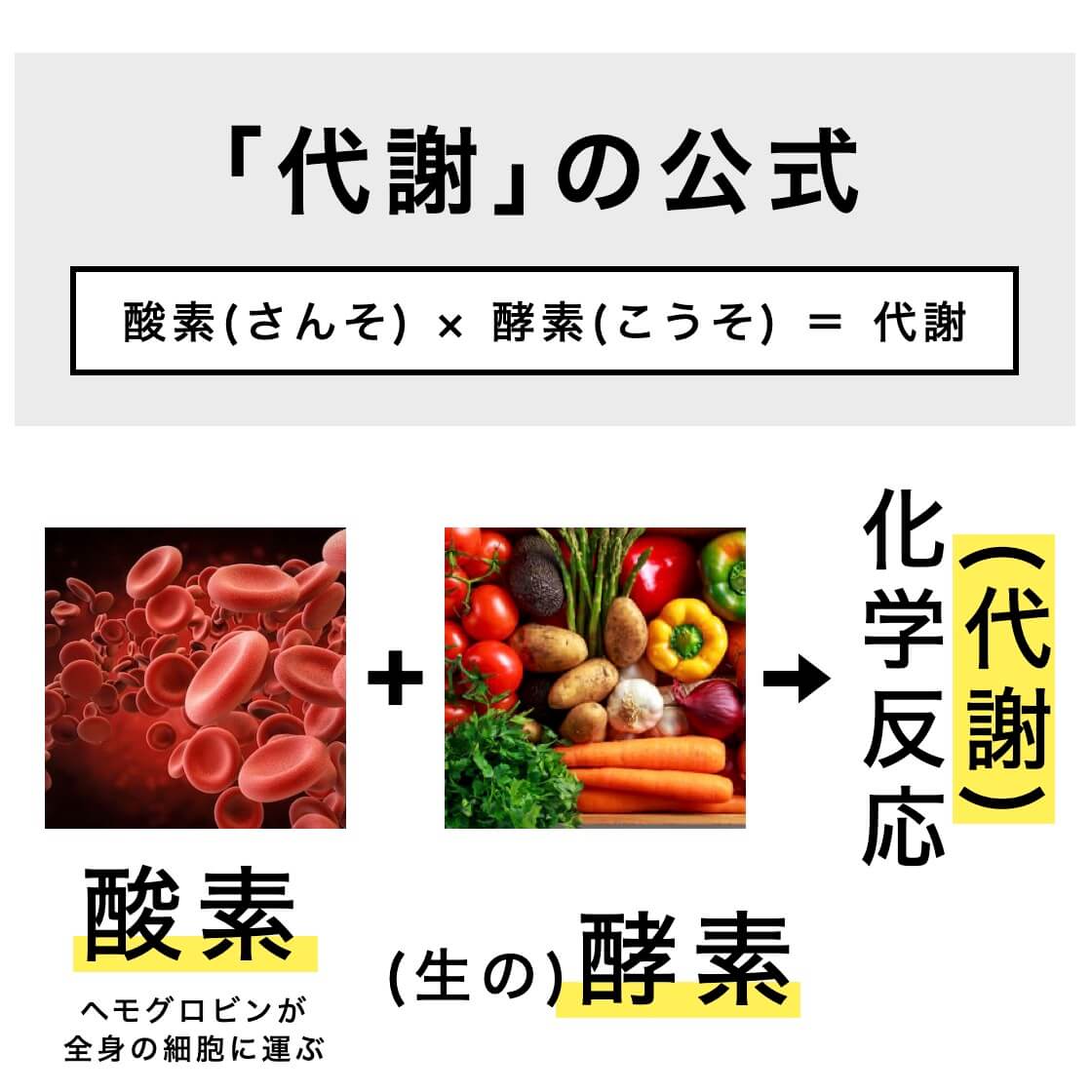 酸素(さんそ) × 酵素(こうそ) ＝ 代謝