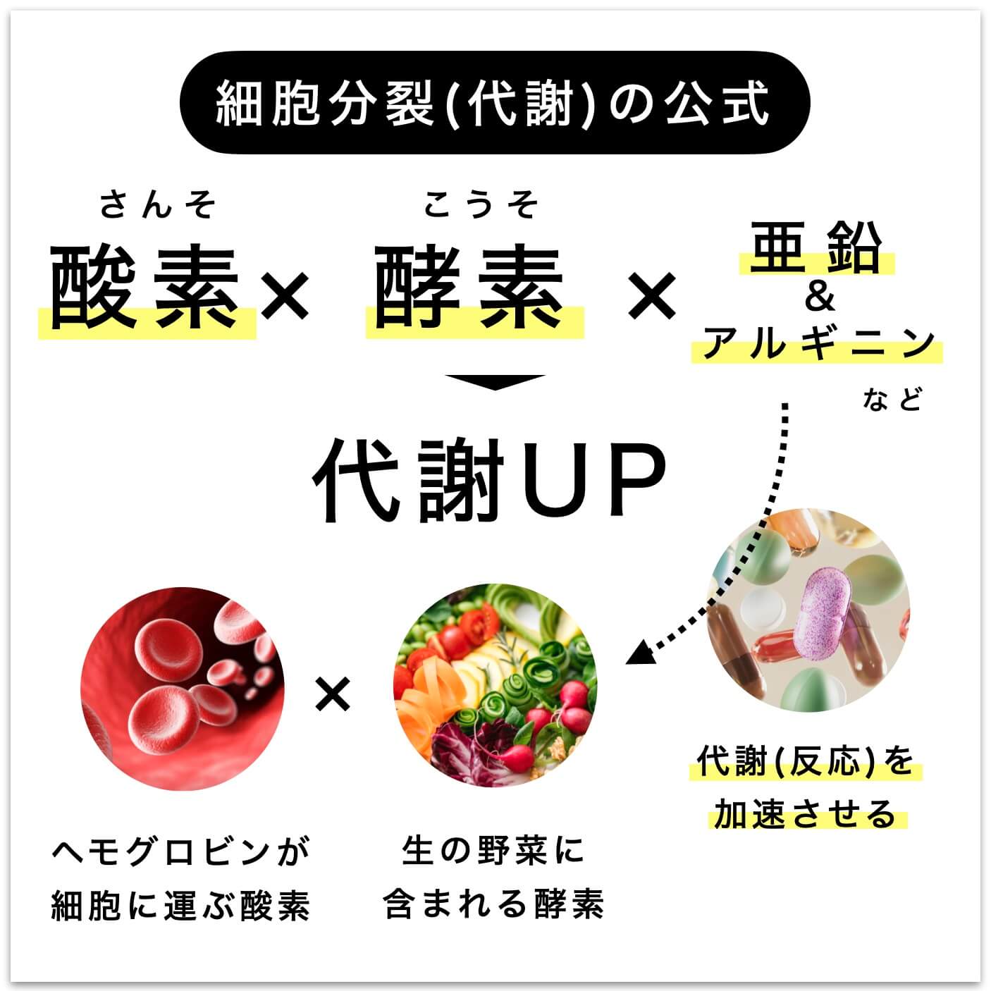 細胞分裂（代謝）の公式