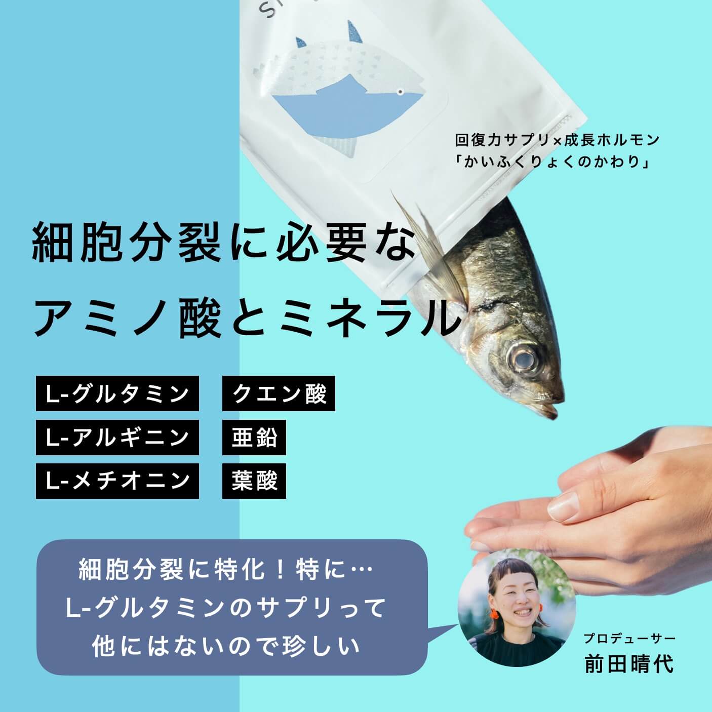 かいふくりょくのかわりの説明が書いている