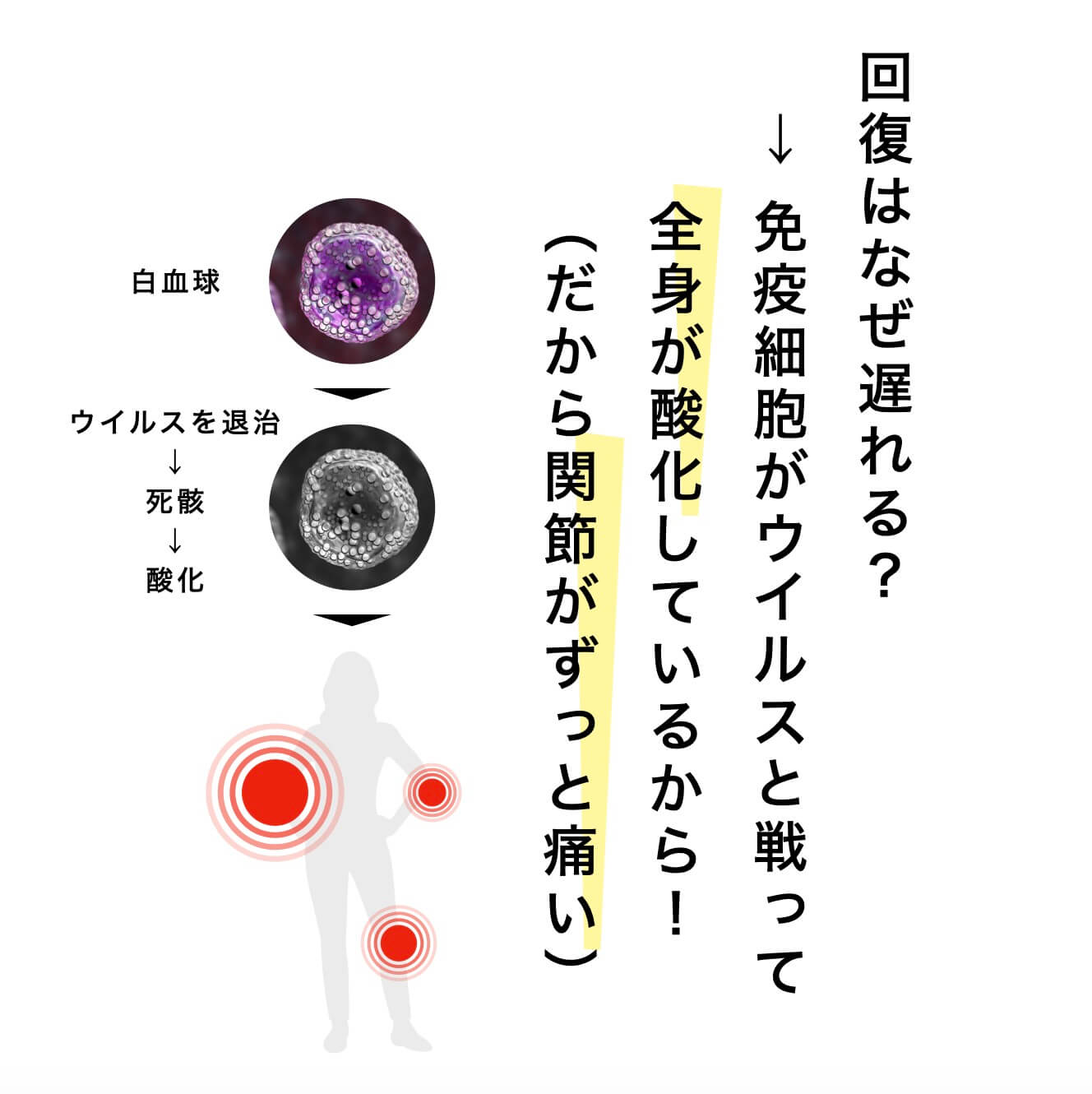 回復力が落ちる理由を解説