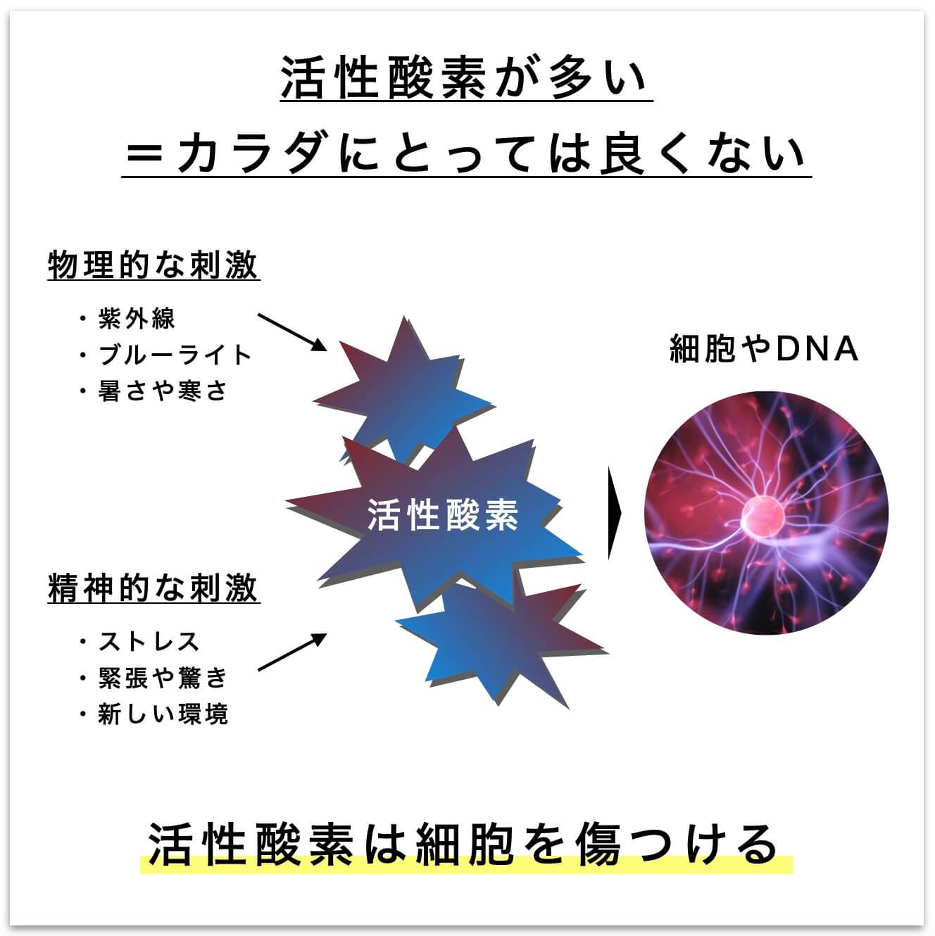 活性酸素が多いのはカラダにとっては良くない