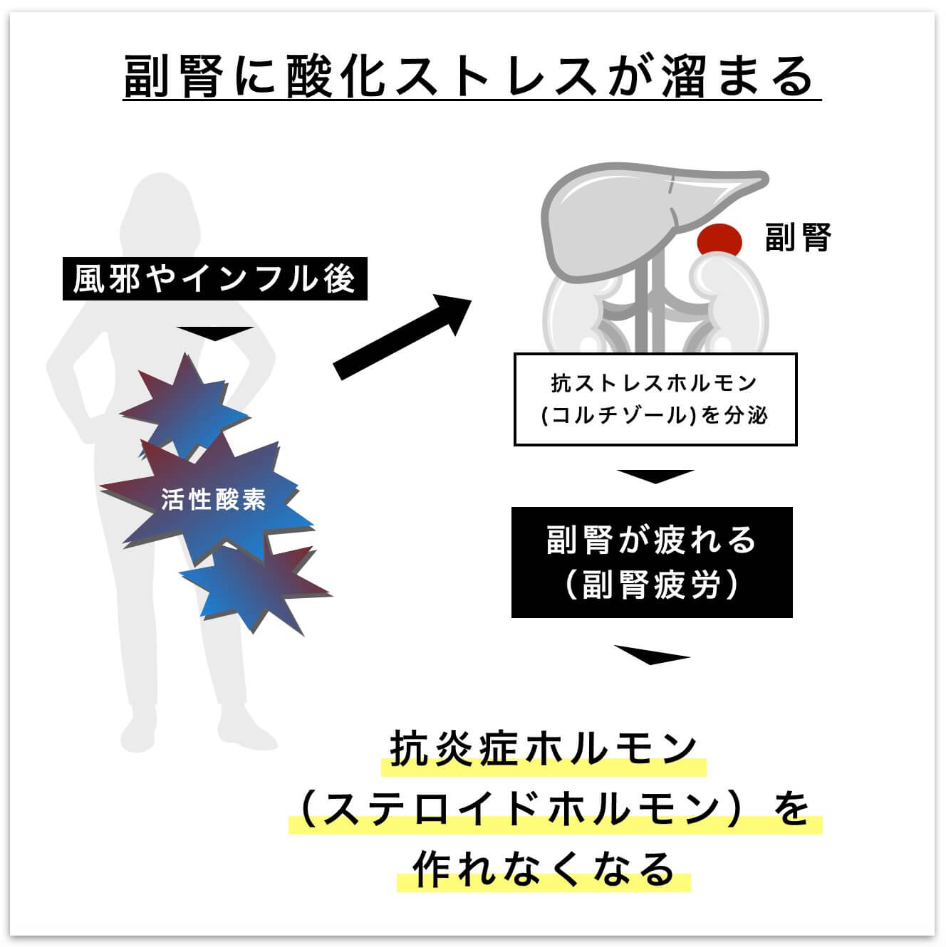 副腎に酸化ストレスが溜まる