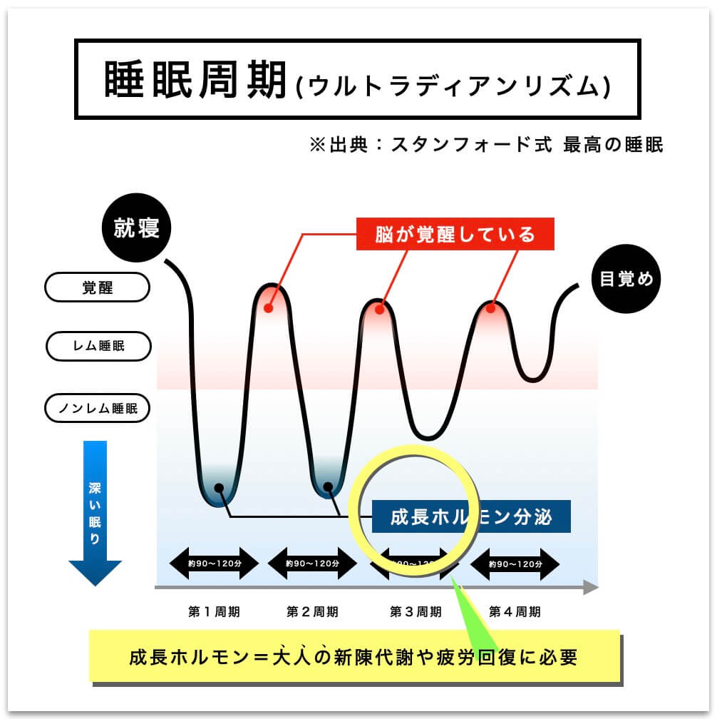 睡眠周期(ウルトラディアンリズム)