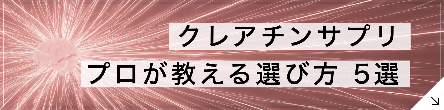 【筋トレ+脳機能の改善】クレアチンサプリの選び方《5選》のボタン