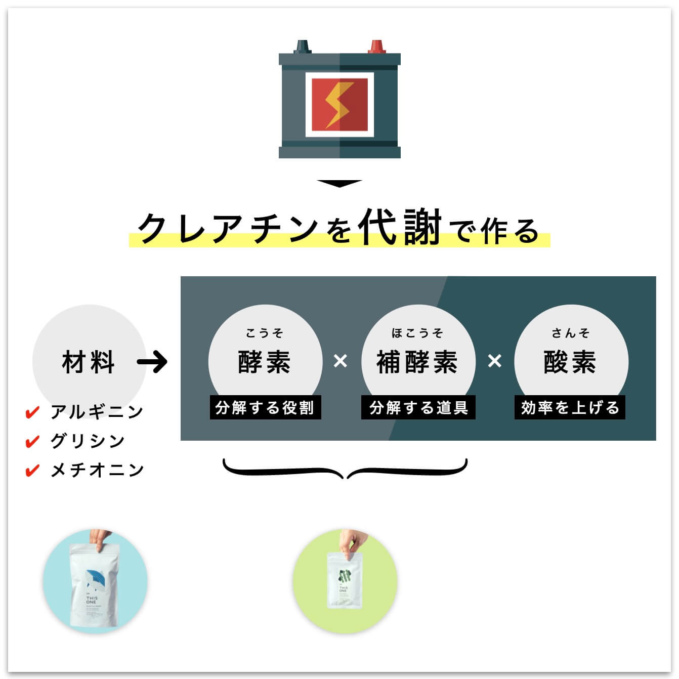 クレアチンを作るには