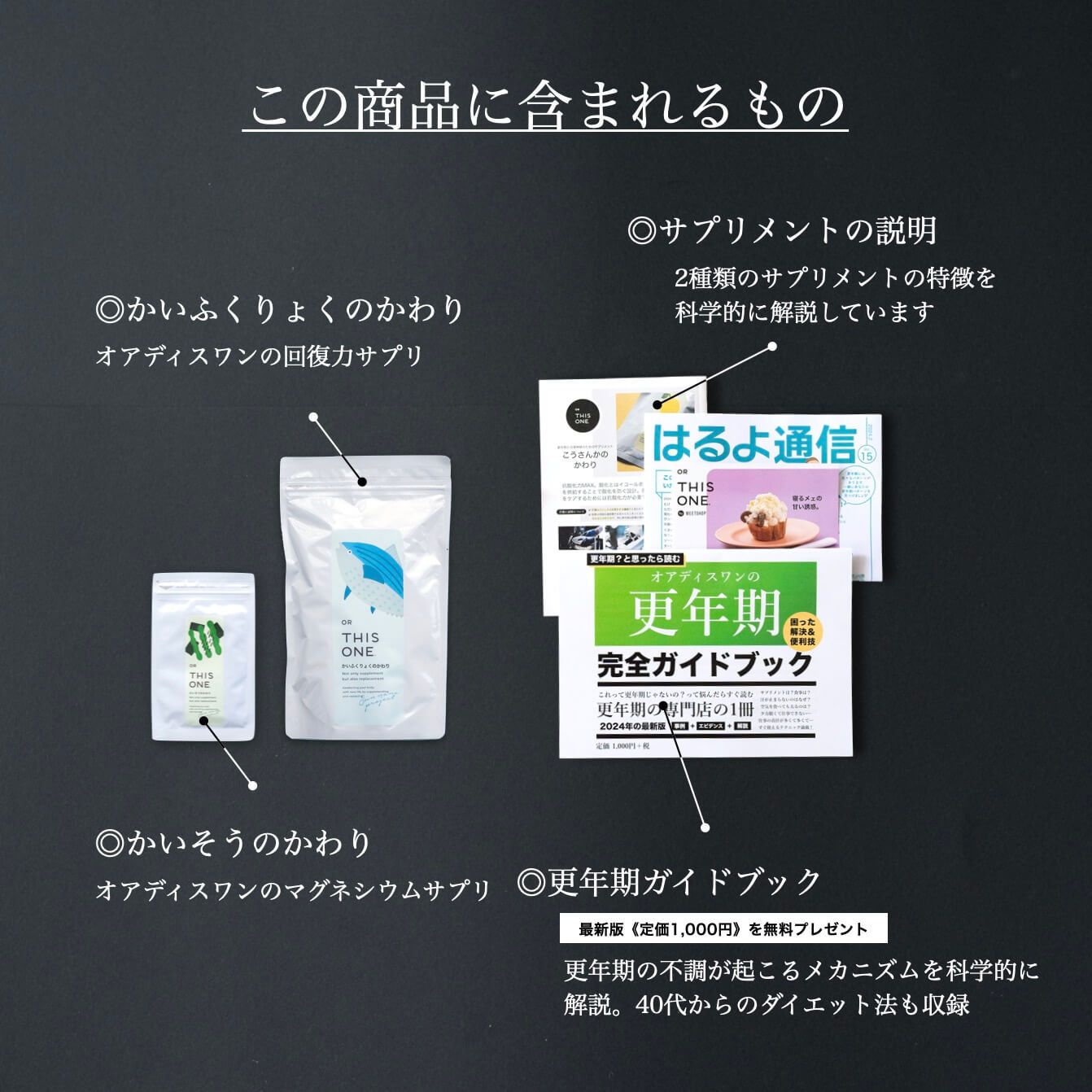 オアディスワンの商品を購入したら届くもの一覧