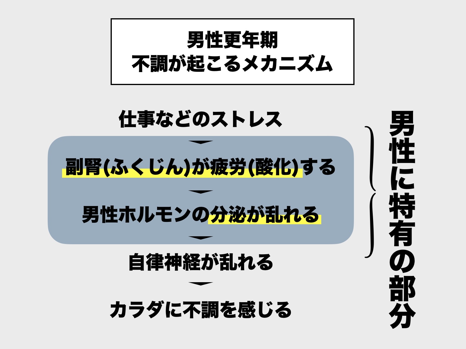 男性更年期の不調がでるメカニズム