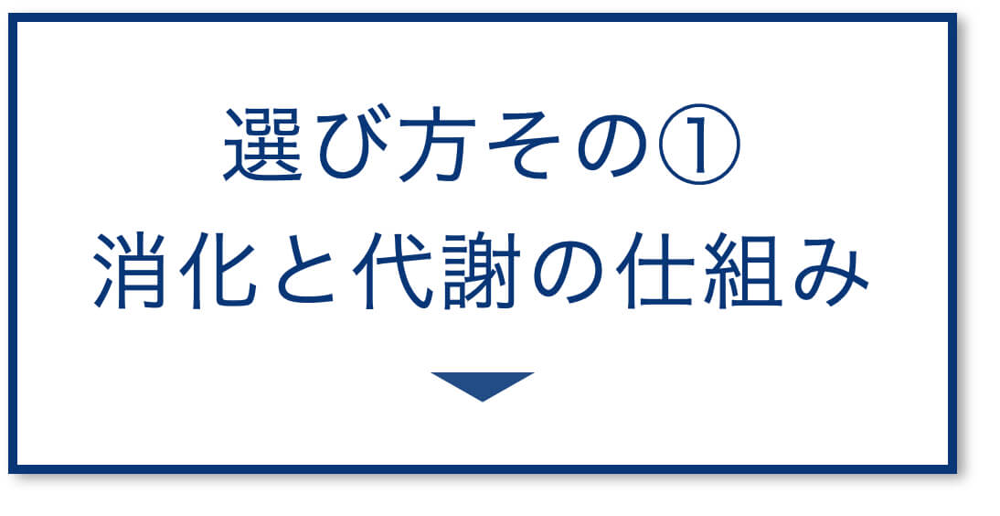 3選その1：消化と代謝の仕組み
  