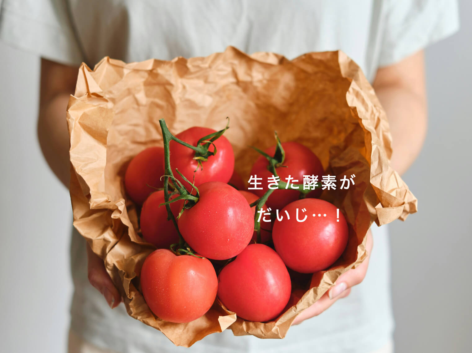 生きた酵素のイメージ写真