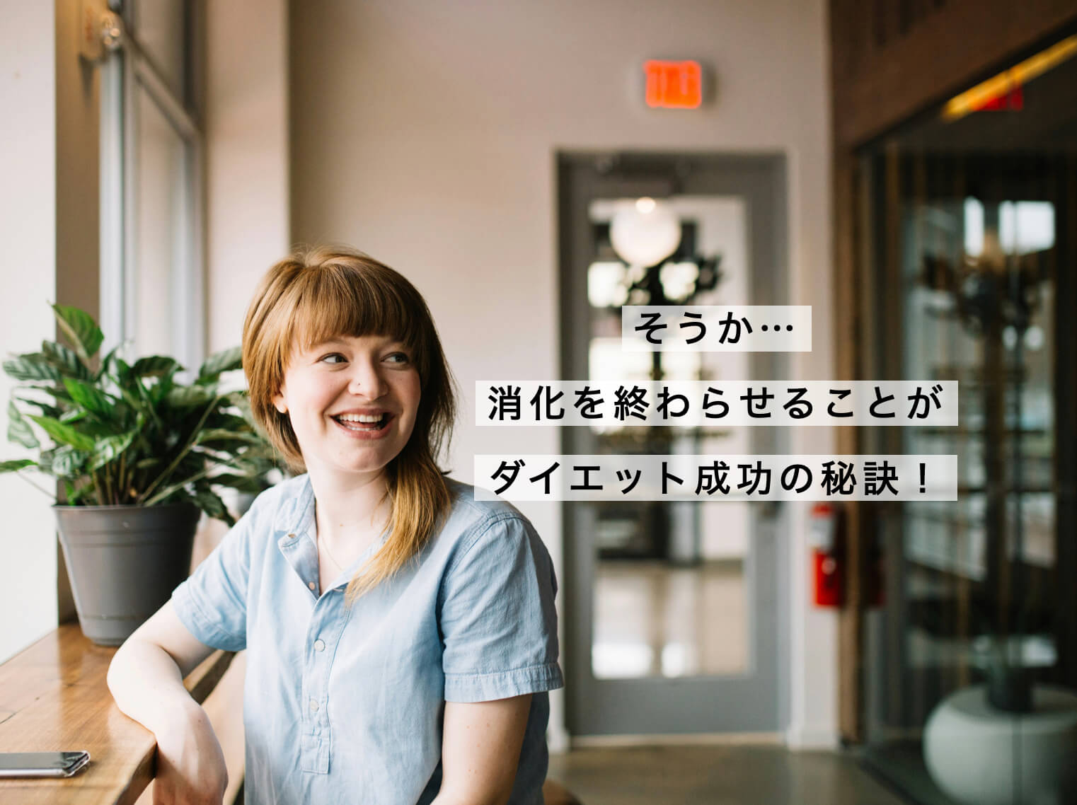 消化とダイエットの関係を説明した図