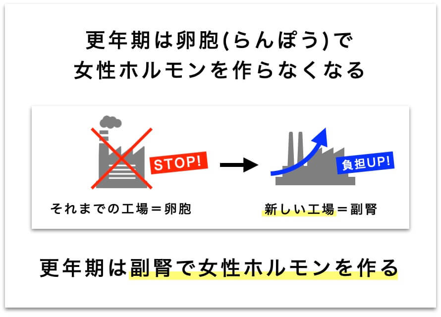女性ホルモンが作られる臓器の説明の図