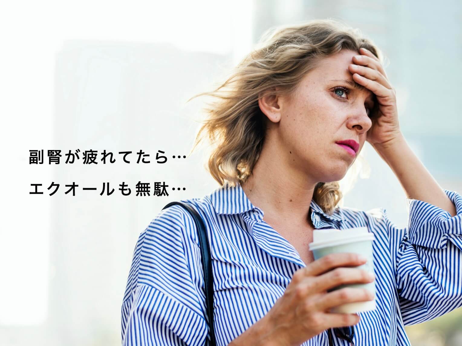 副腎疲労はエクオールじゃだめな図