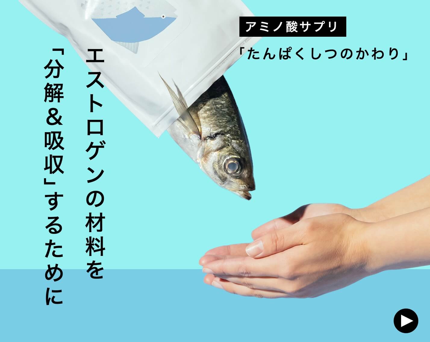 たんぱくしつのかわり定期便のイメージ図