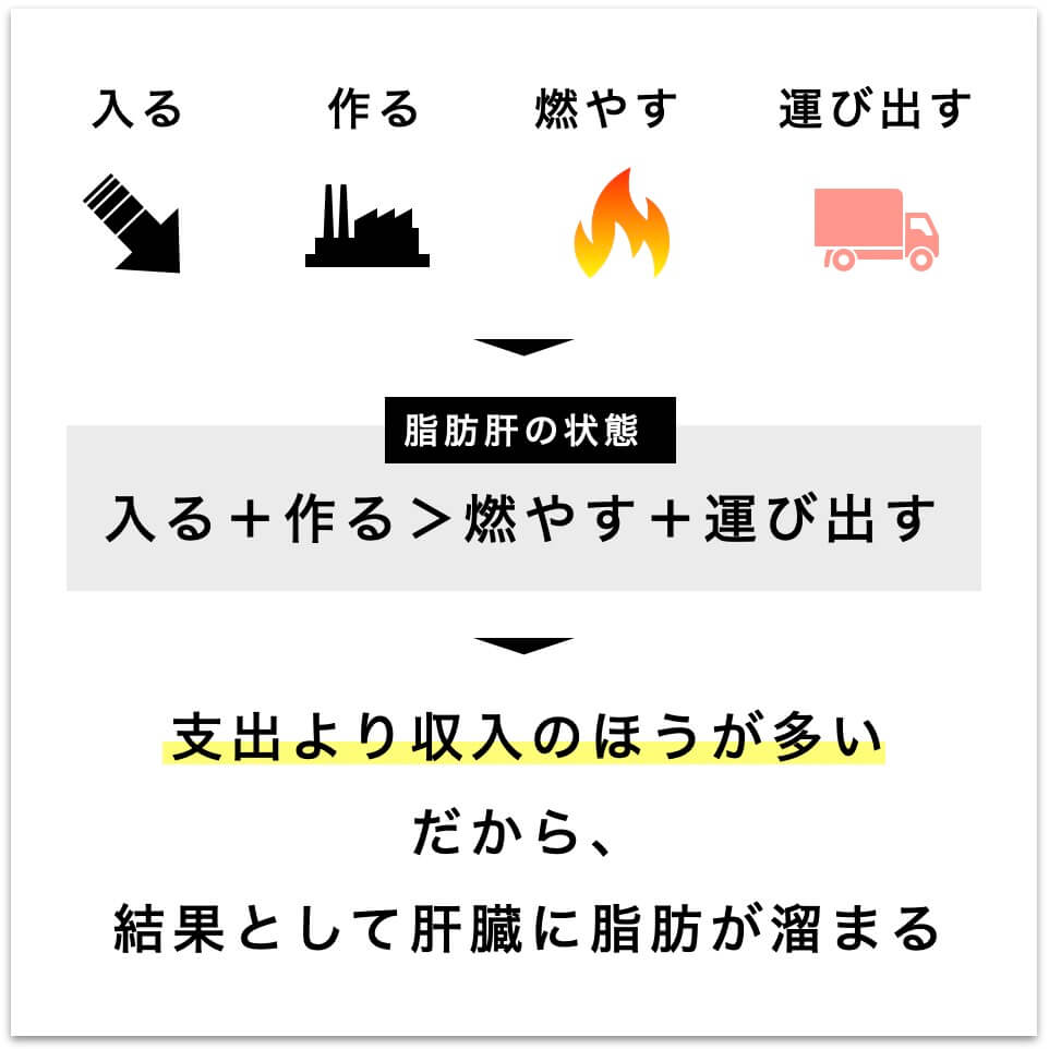 なぜ脂肪肝になるのかの説明