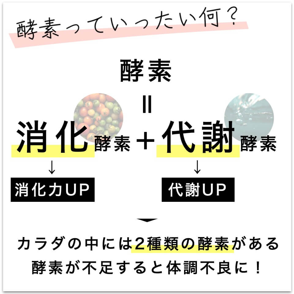代謝に必要な酵素の説明