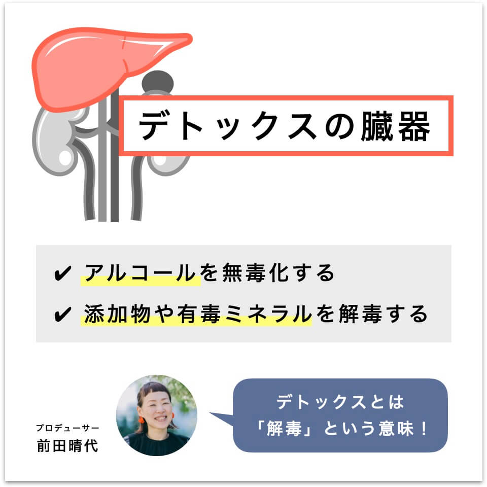 デトックスの臓器　肝臓の働き
