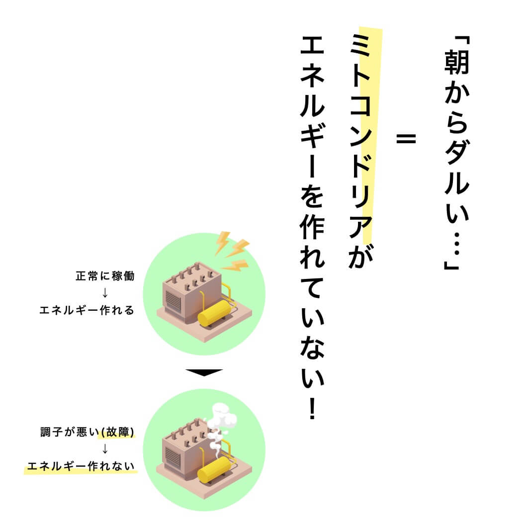 ミトコンドリアがエネルギーを作れていない