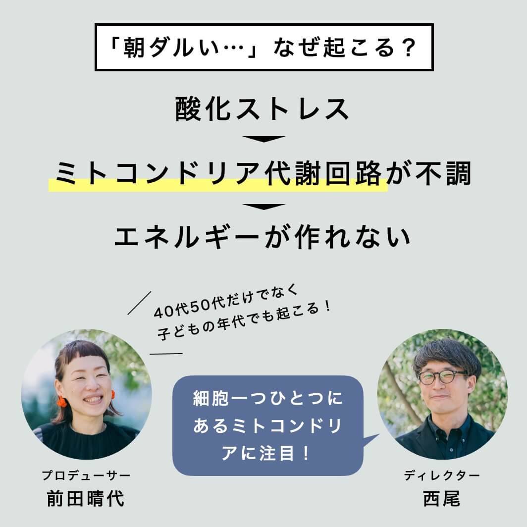 朝だるいのが起こる理由を解説