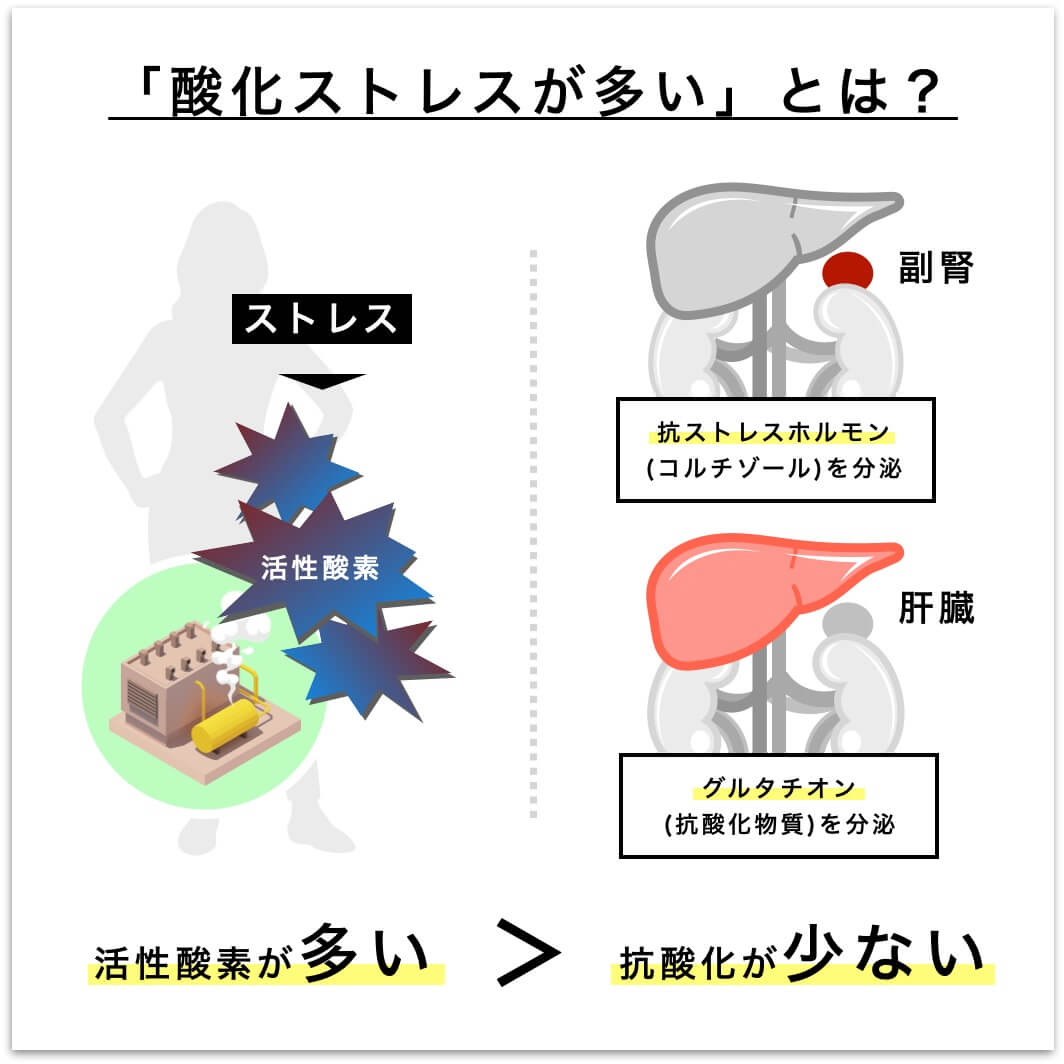 「酸化ストレスが多い」とは？