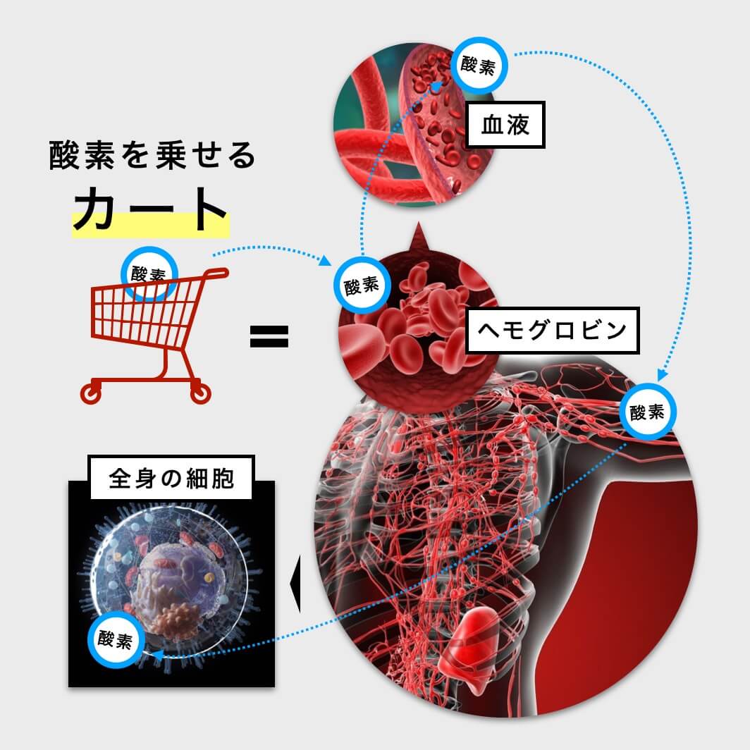 貧血になると細胞に酸素が届かない