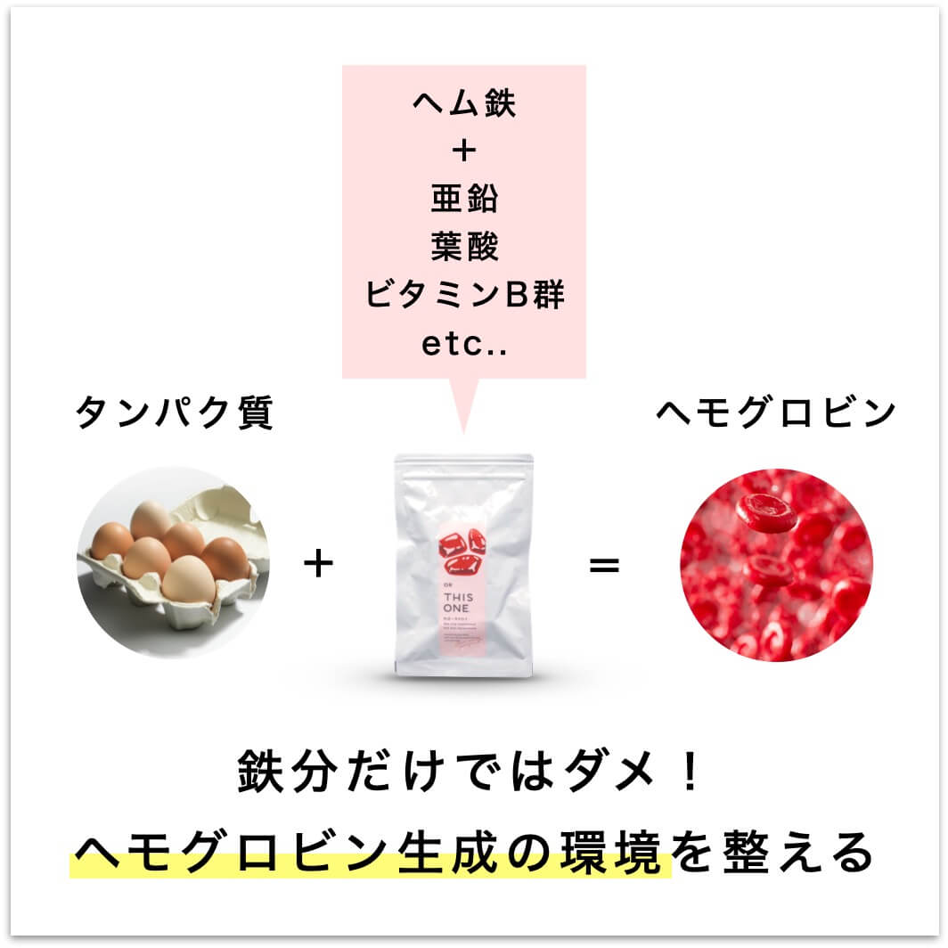 鉄分だけではダメ！
ヘモグロビン生成の環境を整える