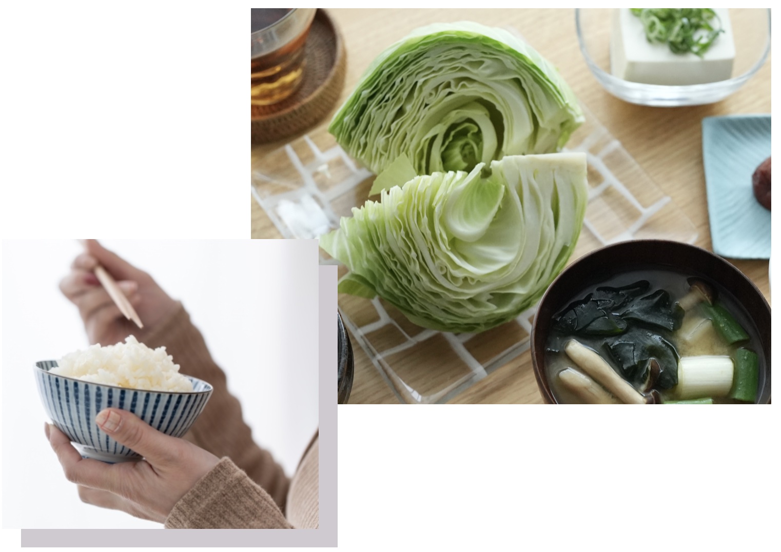 オアディスワンの体質改善プログラム食べるファスティングで食べる食事イメージ