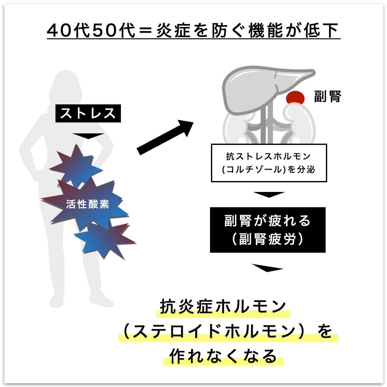 更年期になると炎症機能が衰える理由