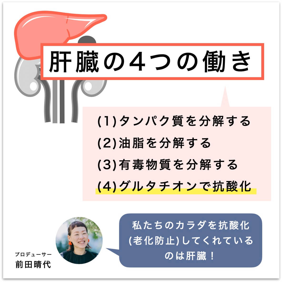肝臓の4つの働きを説明している図
