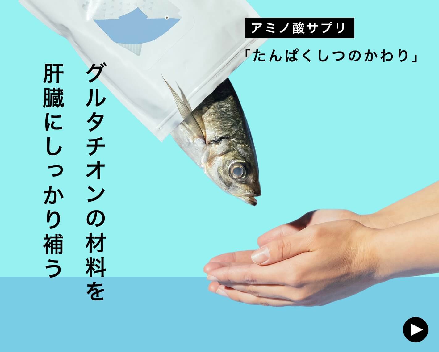 グルタチオンの材料のたんぱくしつ