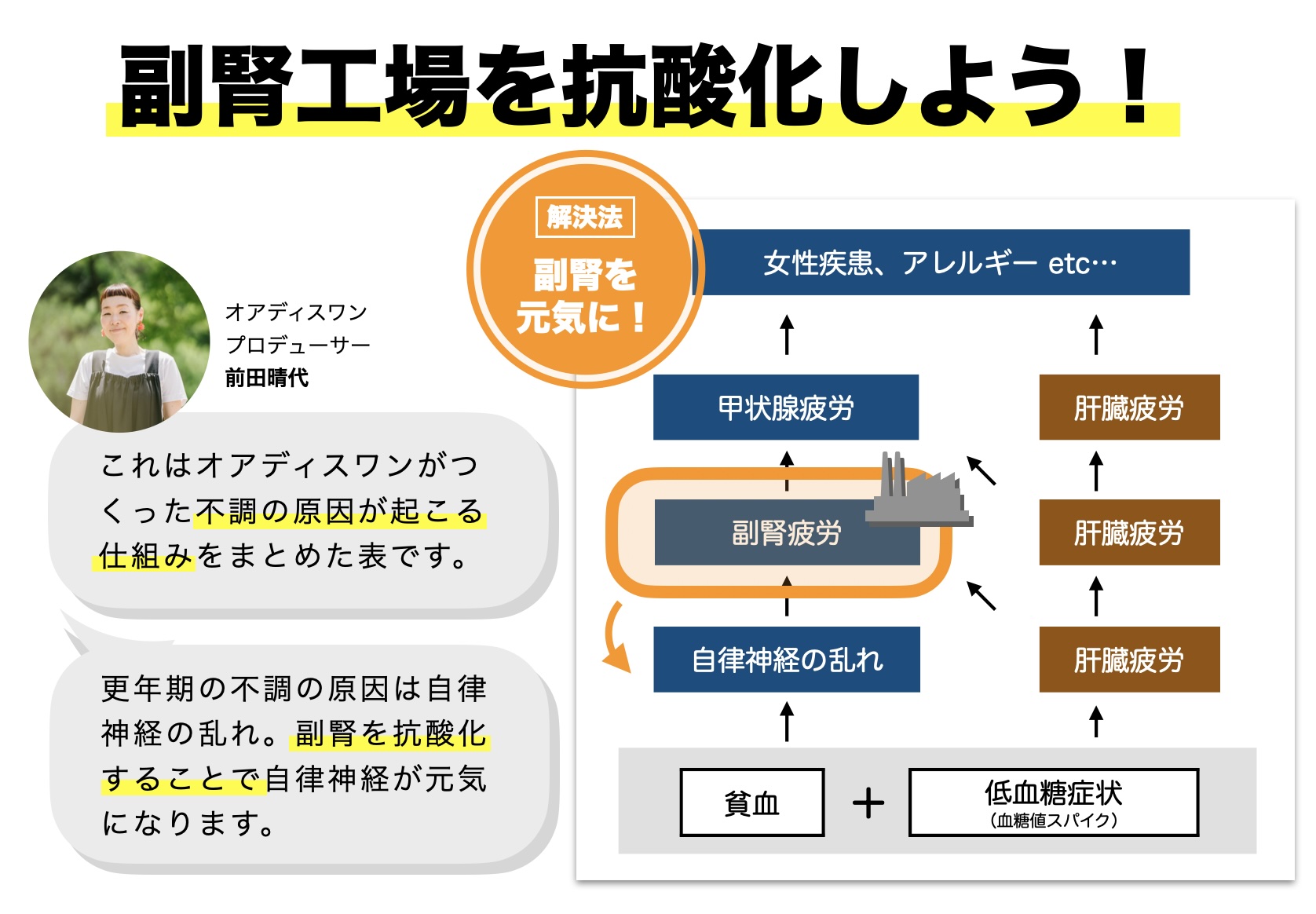 更年期に副腎疲労になりつかれやすくなる理由を説明しているイメージ