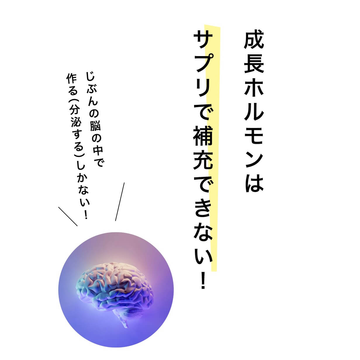 成長ホルモンはサプリでは補えない説明