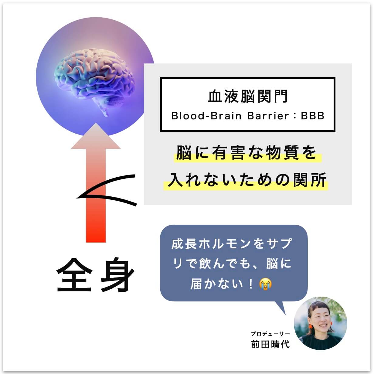 血液脳関門の説明