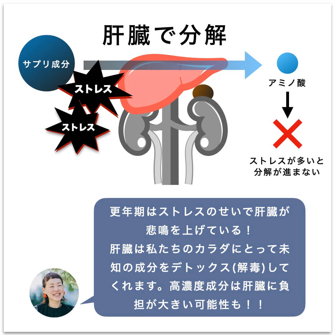 サプリは肝臓で分解されることを説明した図