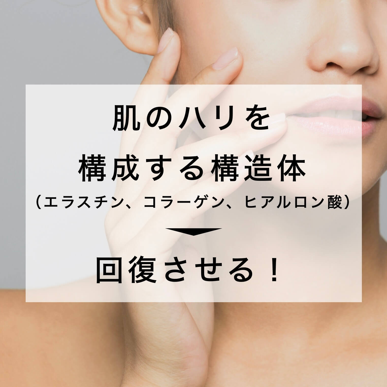 肌のはりを構成するホルモン