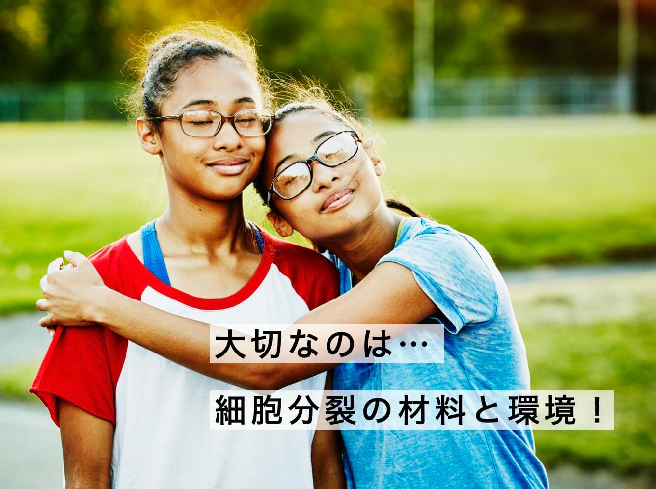 成長スパーク時は細胞分裂が大事