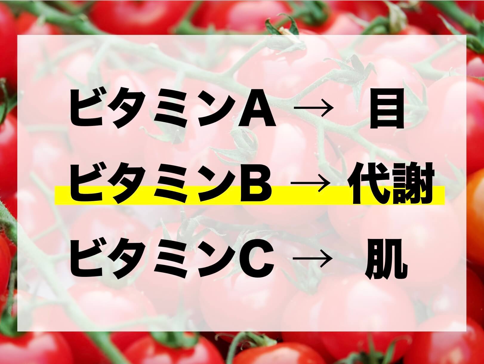 ビタミンBが代謝だと説明している図