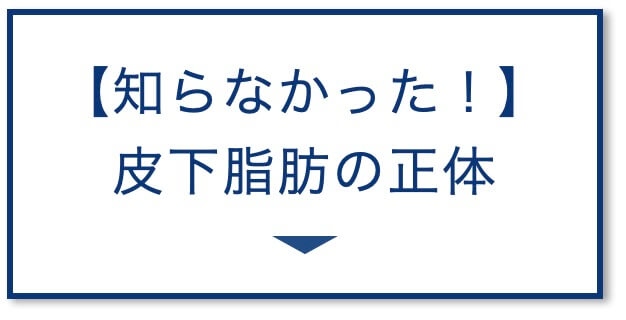 【知らなかった！】
皮下脂肪の正体の図